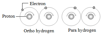 Difference Between Ortho and Para Hydrogen  Compare the Difference Between  Similar Terms